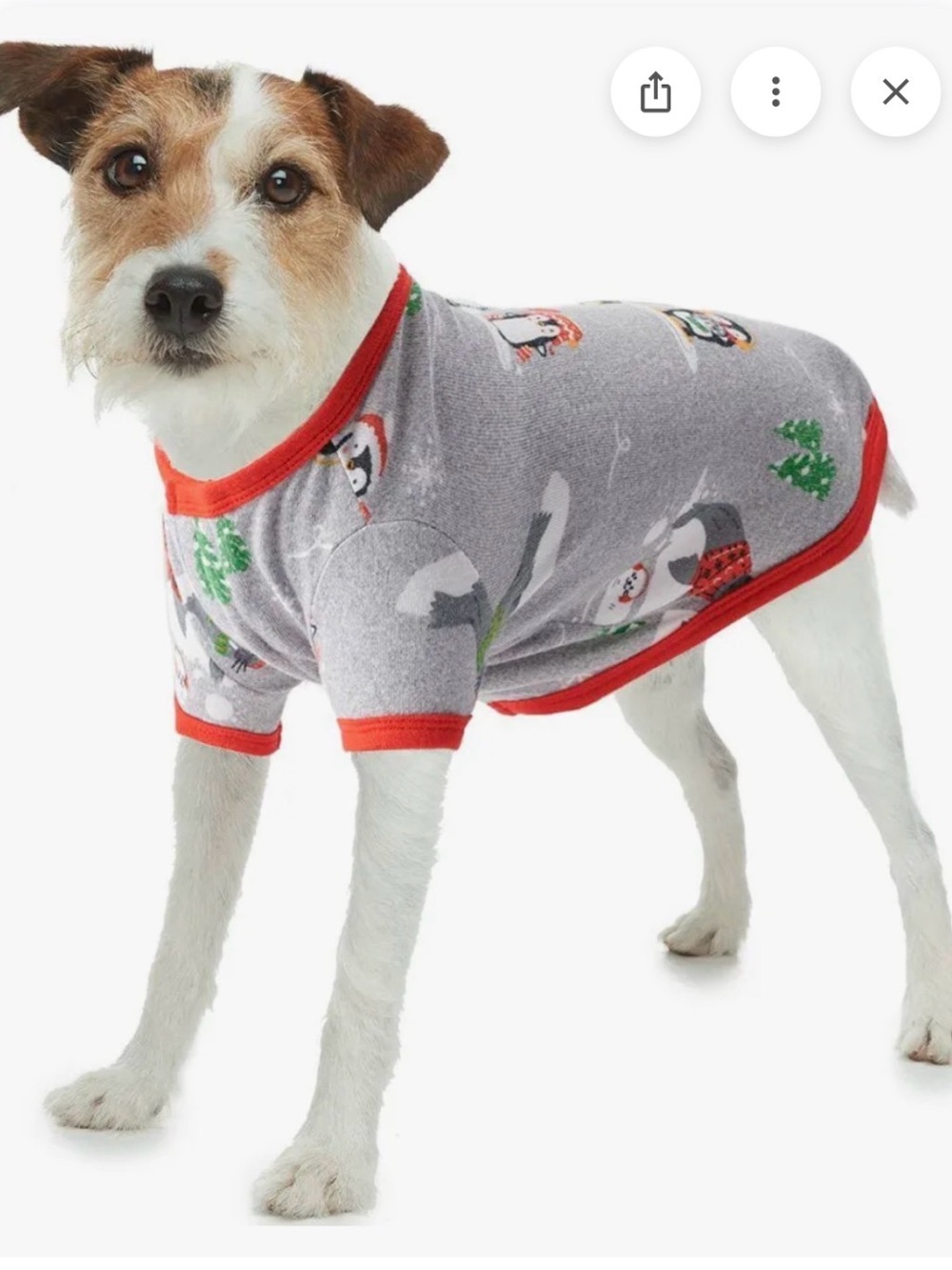 Jammies for Families Large Holiday Dog Tee